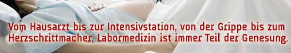 header_content3.jpg